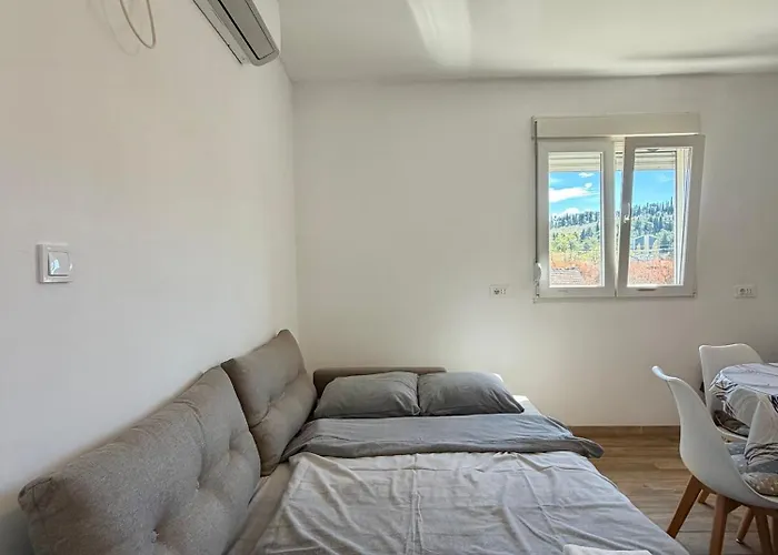 Entire Spacious With Free Parking Διαμέρισμα Ποντγορίτσα