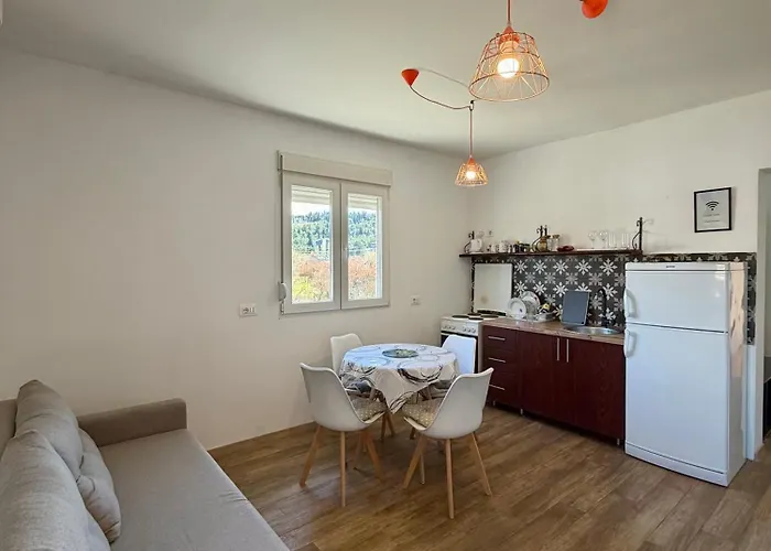 Entire Spacious With Free Parking Podgorica